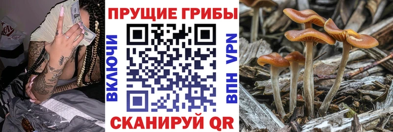 Псилоцибиновые грибы MAGIC MUSHROOMS  Электросталь 