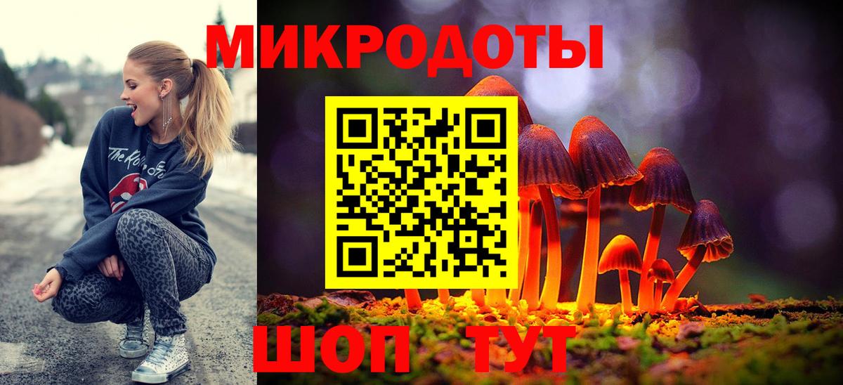 Псилоцибиновые грибы Psilocybe Электросталь