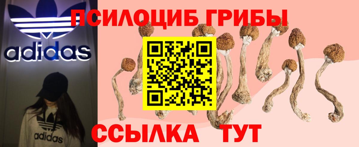 Кокаин  APVP СК   МДМА  Электросталь  Вход с VPN  МЕФ кристаллы  Гашиш  ГАШ  Конопля 