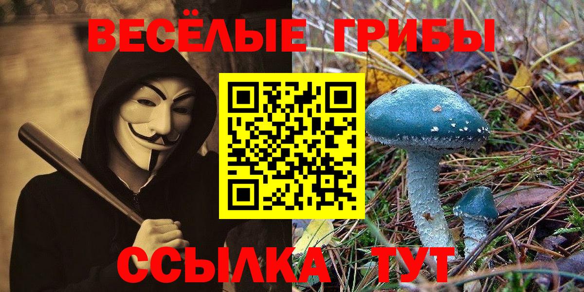 Псилоцибиновые грибы мицелий  Вход с VPN  Электросталь 